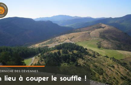 Alberguiere - Piscine chauffée - plancha - barbecue - Foto 11