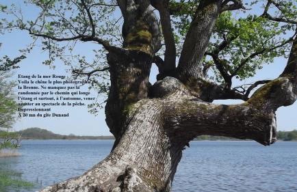 Gite rural DUNAND - Foto 24