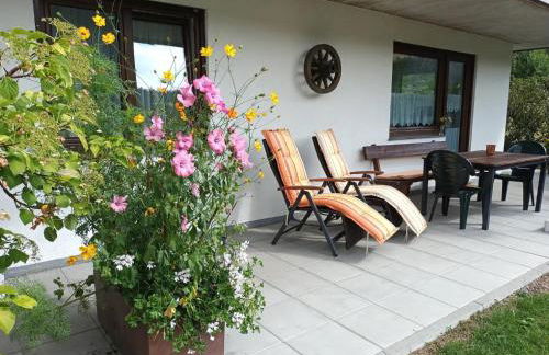 Aufblühen in Menzenschwand - Foto 30