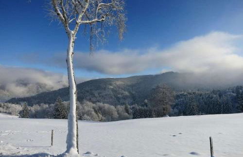 Holiday apartment with 1 bedroom - Foto 34