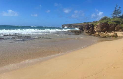 Honu He'e Nalu - The Surfing Turtle - Ocean & Beachfront! Stunning Views! - Foto 7