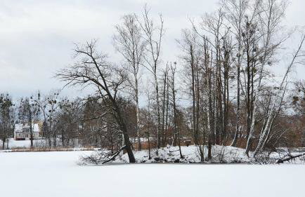 Nasz Dębowiec - dom dla 15 osób, sauna, widok na staw, wielka działka - Photo 76