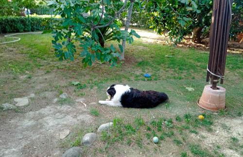 Cottage Milvia - Foto 30