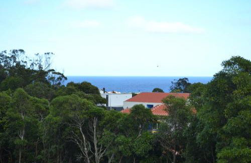 Adega Mendes - Photo 12