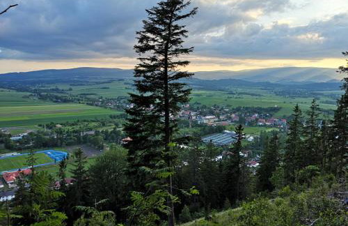 Lubawskie Zacisze - Foto 13