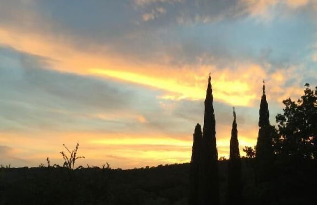 Agriturismo Campo al Crognolo - Photo 16