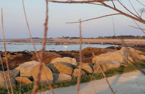 Les pieds dans l'eau - Cosqueville Vicq-mer - Foto 19