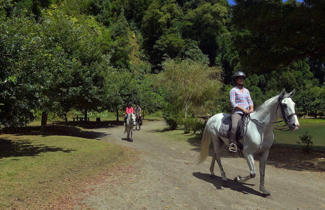 Azores Vacations Ponta Delgada Apartment T3 - Foto 35