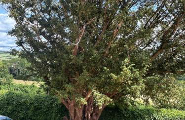 Panorama paradise near Winchester - Foto 12