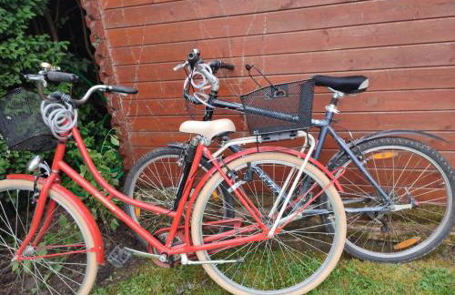 Les étoiles de la Baie - Foto 7