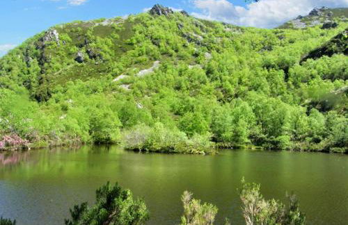 Charming apartment with pool in San Antolin 30 m² and garden - Foto 8