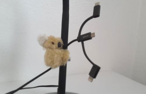 Bungalow am Stadtwald, 24h Check-in - Foto 22