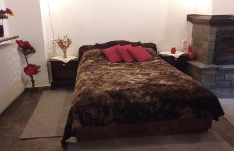 Xenonas Zagorisio - Photo 44