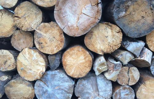 Happy Big Family - Foto 40