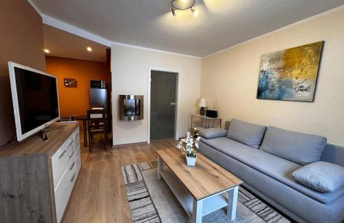 Weinrebe Oberhermsdorf nahe Dresden - Foto 3