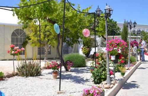 Alojamientos Villa Trinidad - Foto 14