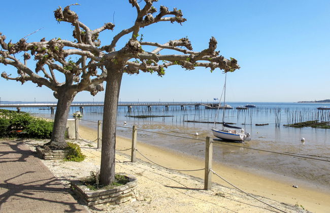 Las Delicias - Foto 14