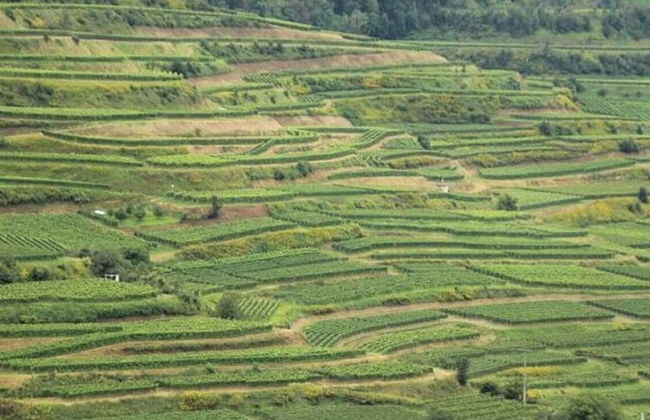 Ferienwohnung in Bischoffingen - Foto 28