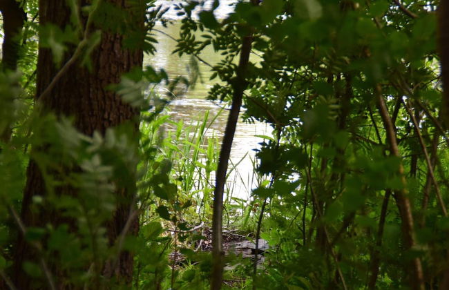 Luxury Retreat by Ho Bay - By Traum Ferienwohnungen - Photo 17