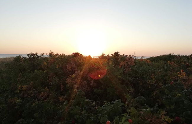 Idyllic Holiday Home in Store Fuglede near Forest - Foto 3