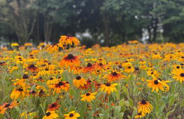 Fewo mit toller Dachterrasse & Bademantelgang zur Wohlfühltherme im neuen Stil - Foto 30