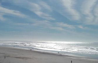 Clos des Loriots - Foto 36