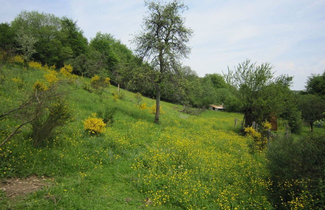 Holiday Home in Ardennes With Sauna & Nature - Photo 36