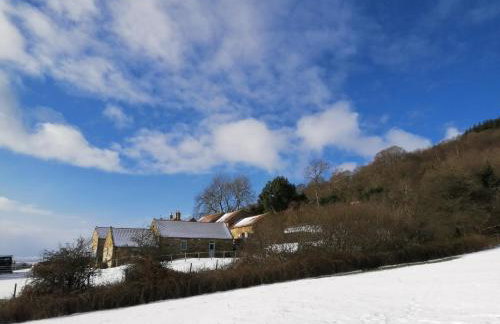 Luddie's Country Cottages - Rose Cottage - Foto 14