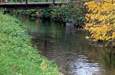 Pino24 Ferienwohnungen mit Pool und Sauna - Foto 58