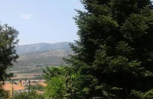 Six Steps From The Forest - Photo 36