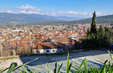 Πανόραμα - Foto 6