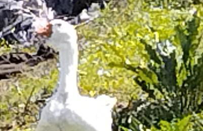 Nid du merle avec sauna et jacuzzi privatif - Foto 43