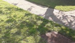 11 Trevithick Court Tolroy Manor - Foto 2