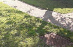 11 Trevithick Court Tolroy Manor - Foto 2