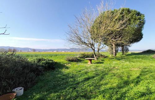 Preciosa Casa en Bordils - Foto 15