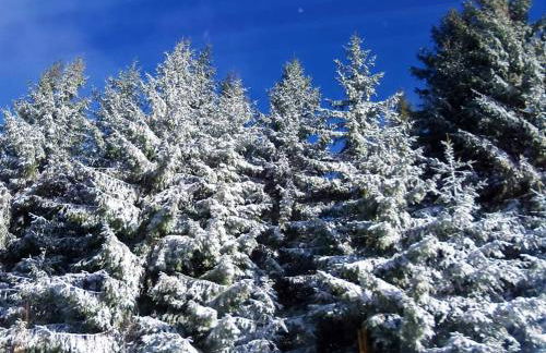 Bungalow Schwarzatalblick in Bad Blankenburg Ortsteil Böhlscheiben - Foto 50