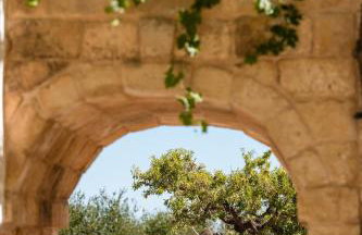 Masseria dei Preti - Foto 98