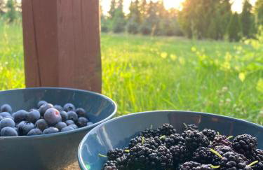 Domek Samice - Foto 59