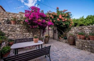 Olga's House - Foto 33