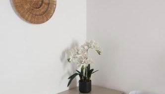 Podere La Saliciaia - Foto 4