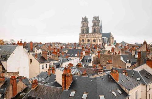 Appartement haussmannien au cœur d Orléans - Foto 32