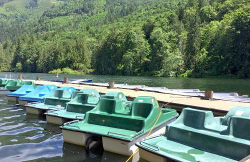 83MF - Lakeside - Hot Tub - WIFI - BBQ - Dock - Sleeps 4 NO PETS - Foto 54