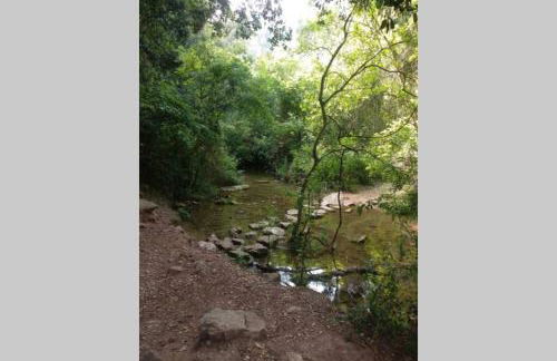 Estudio en el centro - Foto 33