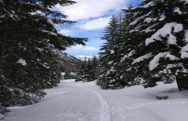 Heavenly Apartment in Wängle Tyrol near Walking Trails - Foto 33