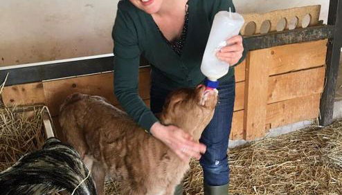 Laufenten Loft - Gutshof Dobschütz Bauernhof - Foto 3