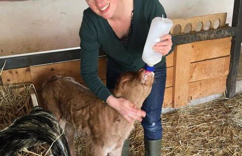Laufenten Loft - Gutshof Dobschütz Bauernhof - Foto 3
