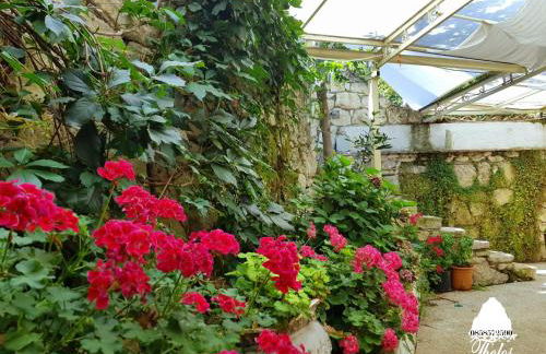 Agriturismo Tholos - Photo 77