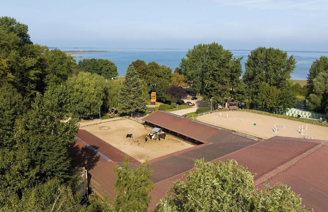 Bernsteinland Barth - Photo 45