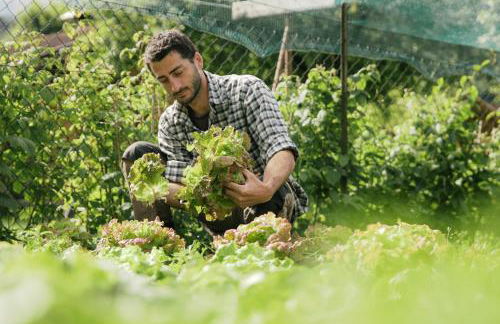 Dolomitihouse ZIRMOL - Foto 39