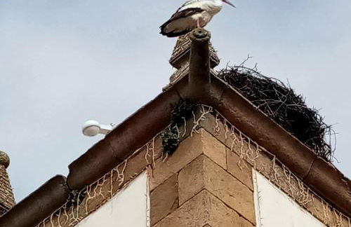 Pátio da Caetana - Foto 143